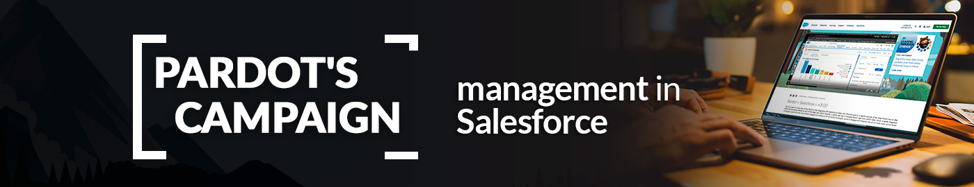 Pardot campaign management in Salesforce