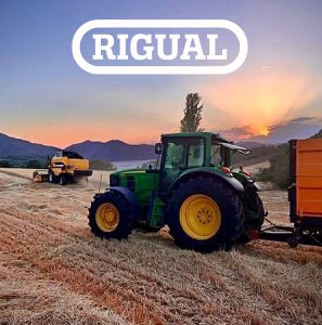Estrategia de analitica Web y migración a GA4 | Rigual