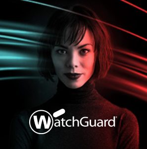 Estrategia de Analítica web | WatchGuard