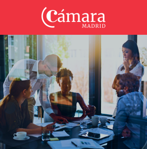 Desarrollo de Auditorías UX | Cámara Madrid