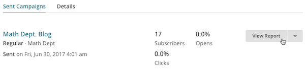Haz clic en View Report (Ver informe)